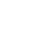 phone-icon